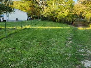 Darryl P.'s Lawn Care service result