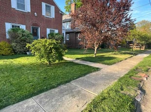 Daeja M.'s Lawn Service service result