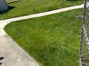 Sharon O.'s Lawn Mowing Service service result