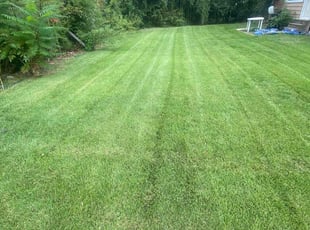 Gladys R.'s Lawn Care service result
