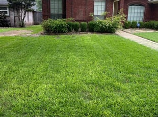 Linda W.'s Lawn Service service result