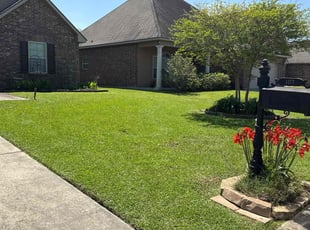 Joshua S.'s Yard Cutting service result