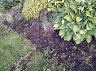 Weeding by Robert Marsico for Anna R. in Tigard, OR