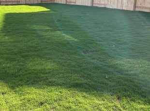 Che S.'s Lawn Mowing Service service result