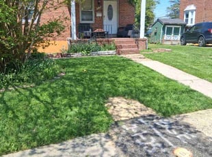 Jesse V.'s Grass Cutting service result
