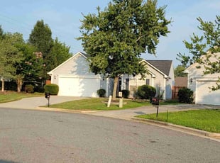 Lynnette A.'s Lawn Care service result