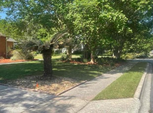 Scott S.'s Lawn Mowing service result