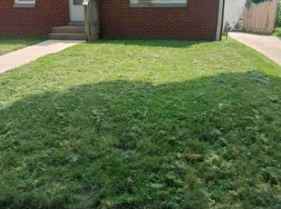 Dustin S.'s Lawn Maintenance service result