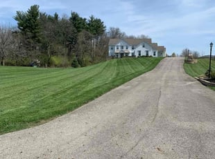Sharon T.'s Yard Cutting service result