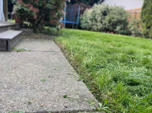 Maurice A.'s Lawn Mowing service result