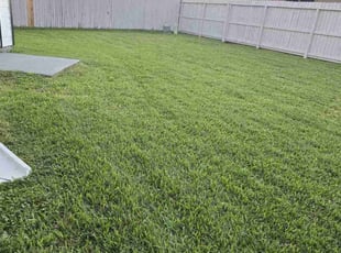 Sharon W.'s Lawn Care service result