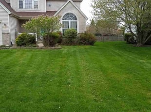 darrell h.'s Yard Cutting service result