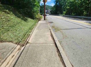 Dawna R.'s Lawn Service service result