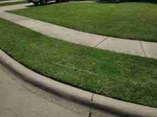 Connie S.'s Lawn Care service result