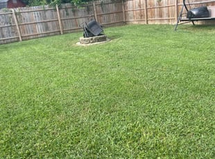 Valerie P.'s Yard Cutting service result