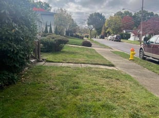 Rob D.'s Lawn Care service result
