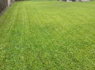 Marie W.'s Lawn Maintenance service result