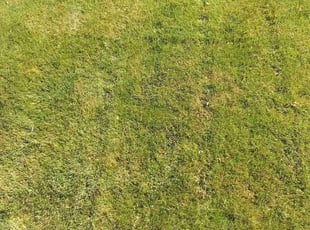 Cleanups by Tylon Newcomb for Aimee M. in Aurora, CO