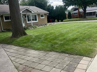 Richard R.'s Lawn Mowing Service service result
