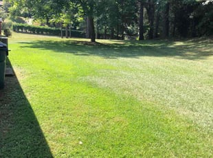 Theresa G.'s Lawn Mowing Service service result