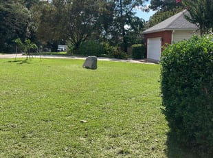 Cassandra J.'s Lawn Mowing Service service result