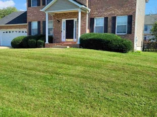 David J.'s Lawn Mowing service result