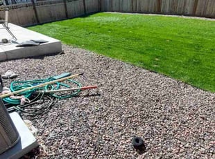 Weeding by Trent Young for Iman D. in Denver, CO