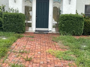 Bush Trimming by Larz Pugh-hall for Bella S. in Sarasota, FL