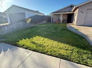 William Y.'s Lawn Mowing service result