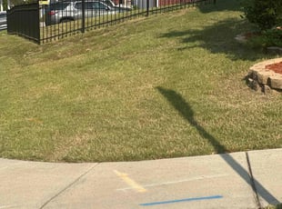 Shannon A.'s Lawn Maintenance service result