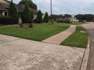 Robert W.'s Lawn Mowing service result