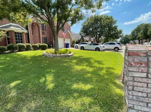 Jerrie-Lynn H.'s Grass Cutting service result