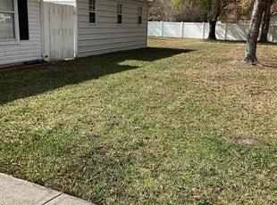Chrissy A.'s Lawn Care service result