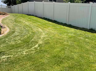 Ammar I.'s Lawn Service service result