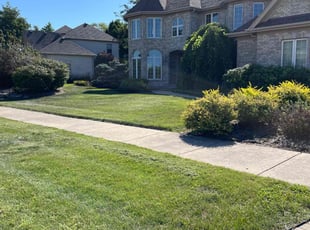 Donna B.'s Lawn Mowing service result