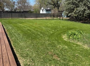 Jeffery s.'s Yard Cutting service result