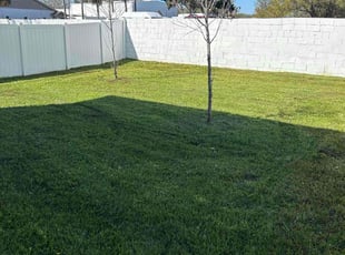 AJ J.'s Lawn Mowing service result