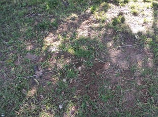 Cleanups by Jan ortiz for Dietrich J. in Oklahoma City, OK