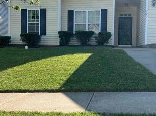 Janet G.'s Lawn Service service result