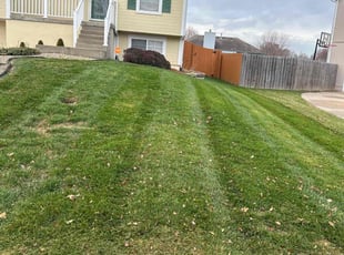 Judy M.'s Grass Cutting service result