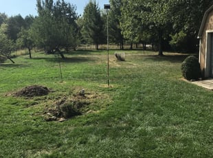 Cleanups by Tamara Burts for Cynthia P. in Westlake, OH