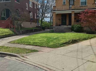 sasha w.'s Lawn Mowing service result