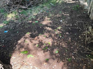 Cleanups by Juan Perez for Christian H. in Bellevue, NE