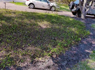 Weeding by Chris Steinhour for Christopher C. in Worthington, OH
