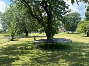 Nolan Y.'s Yard Cutting service result