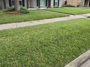 Kris S.'s Lawn Care service result
