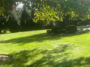 Judi S.'s Lawn Mowing service result