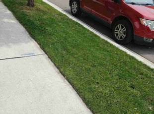 Joey L.'s Yard Cutting service result