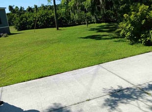 TJ C.'s Yard Cutting service result