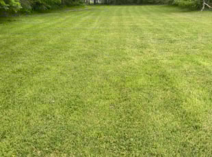 Kenneth B.'s Lawn Care service result